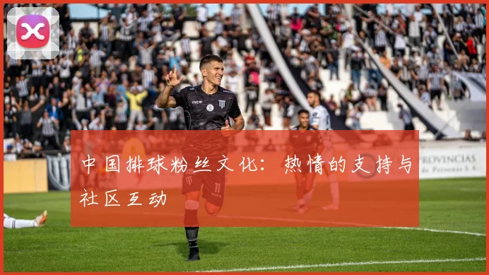 中国排球粉丝文化：热情的支持与社区互动