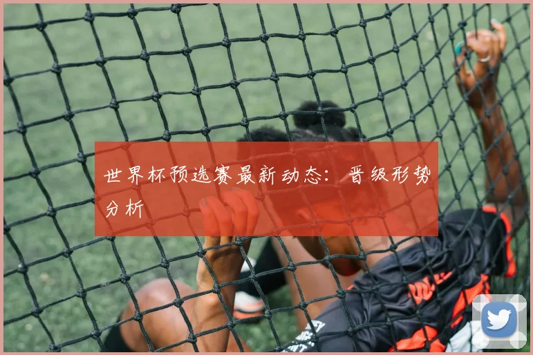 世界杯预选赛最新动态：晋级形势分析