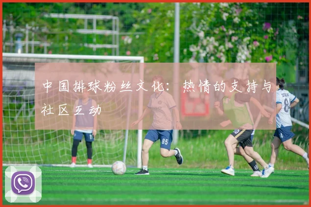 中国排球粉丝文化：热情的支持与社区互动