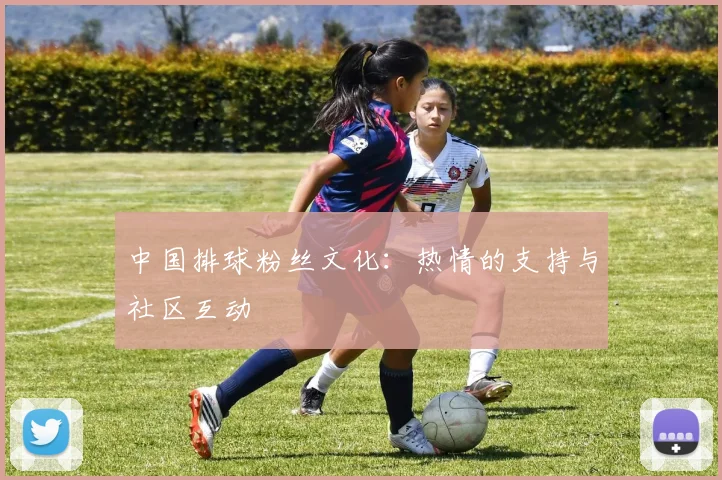 中国排球粉丝文化：热情的支持与社区互动