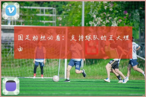 国足粉丝必看:支持球队的五大理由
