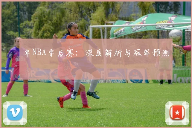 年NBA季后赛：深度解析与冠军预测