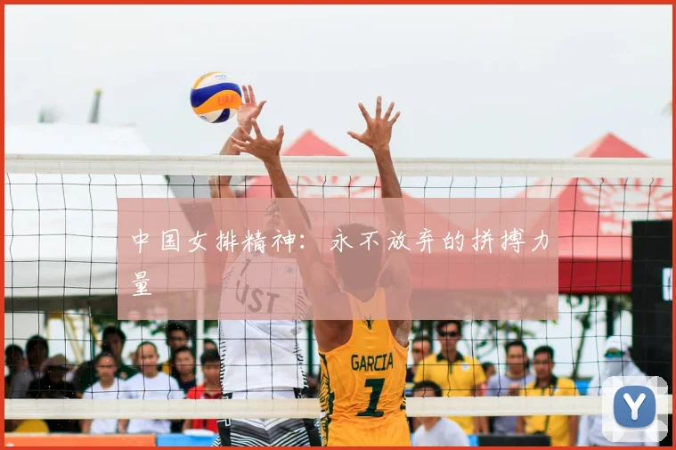 中国女排精神：永不放弃的拼搏力量