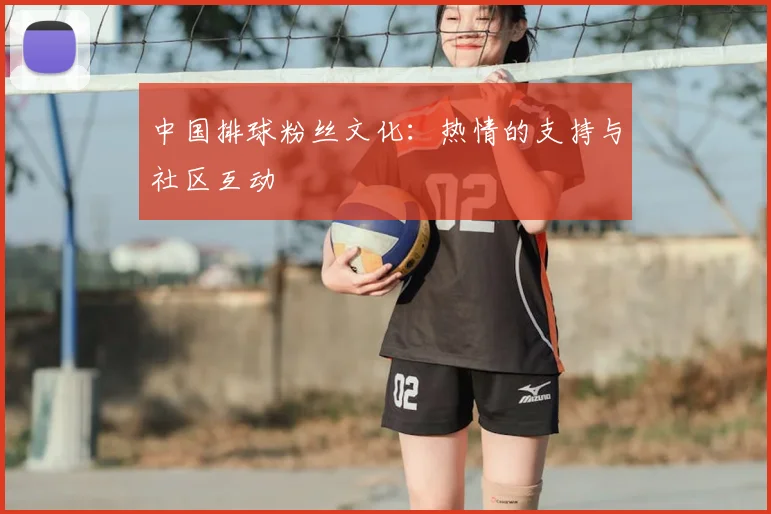 中国排球粉丝文化:热情的支持与社区互动